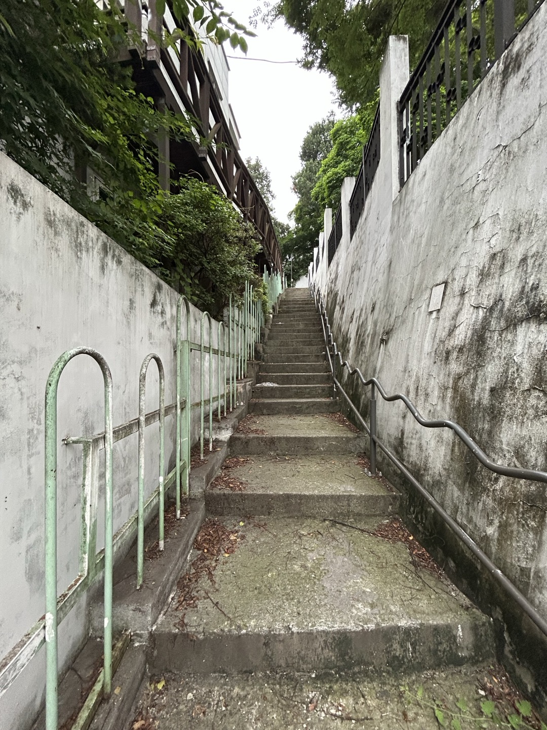 KakaoTalk_20250709_132451370.jpg