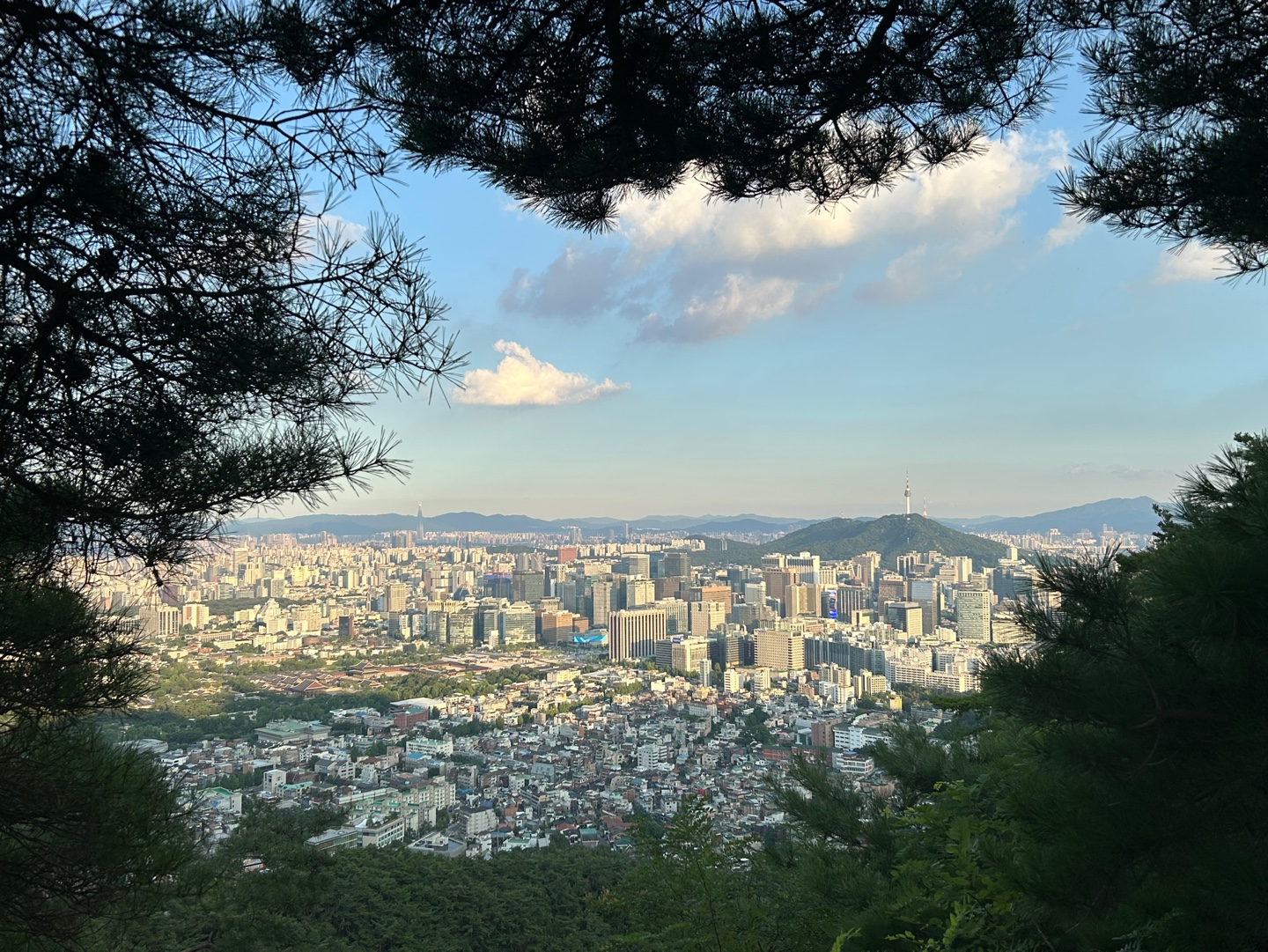 KakaoTalk_20250728_090009235.jpg